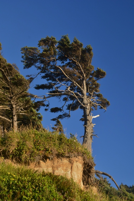 Hug Point Beach